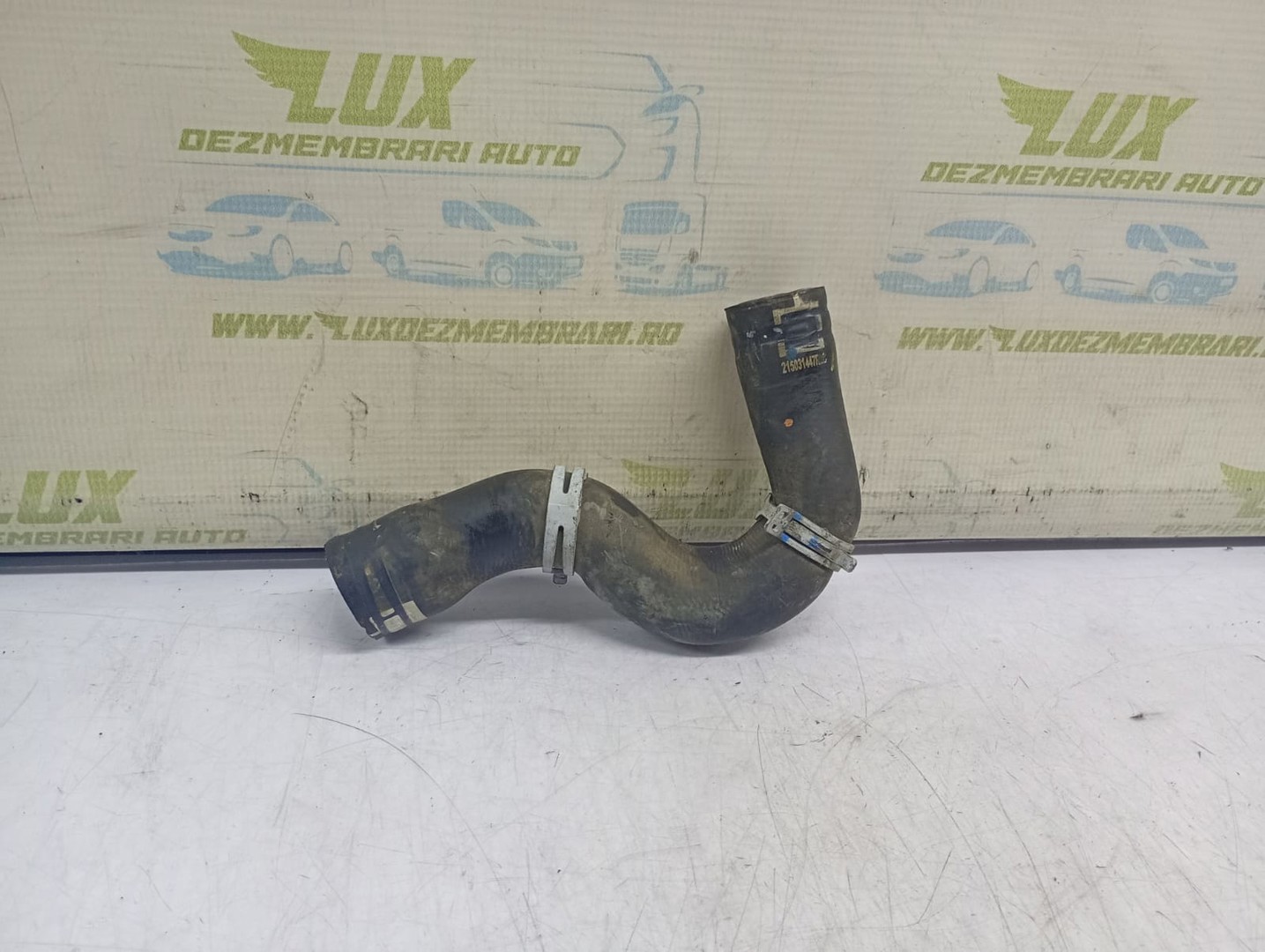 Furtun apa 215031447R Dacia Jogger 1 (facelift) (2022 - 2024)