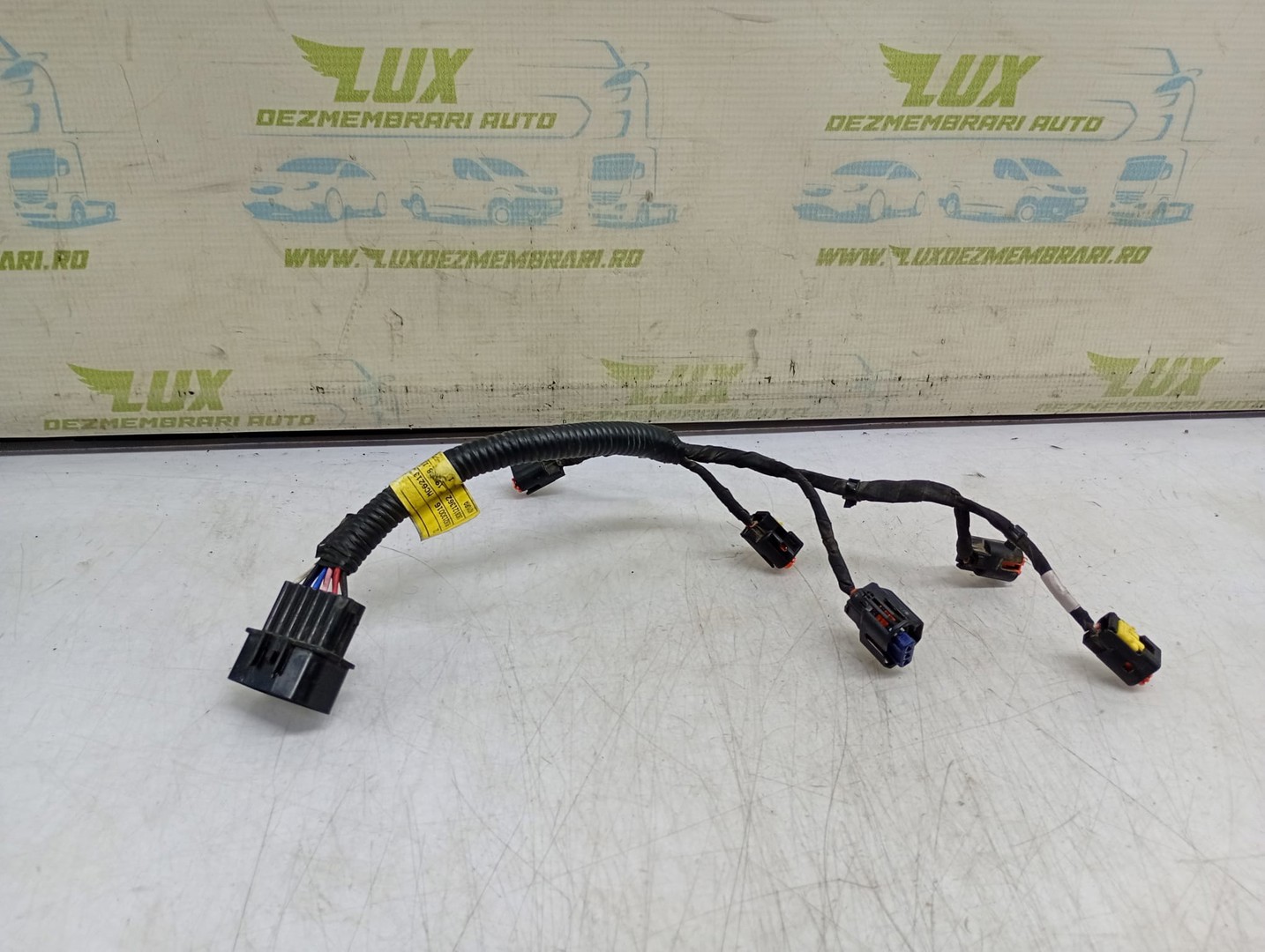 Instalatie Injector Hyundai Ioniq AE (facelift) (2019 - 2023)