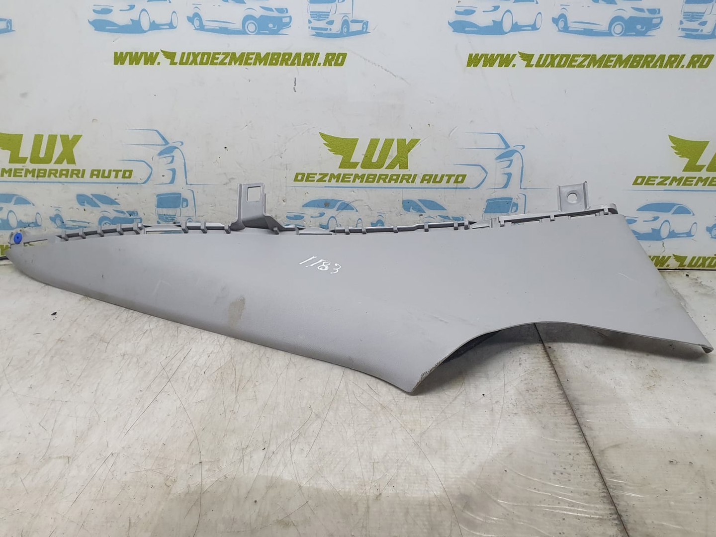 Ornament interior Hyundai Ioniq AE (facelift) (2019 - 2023)