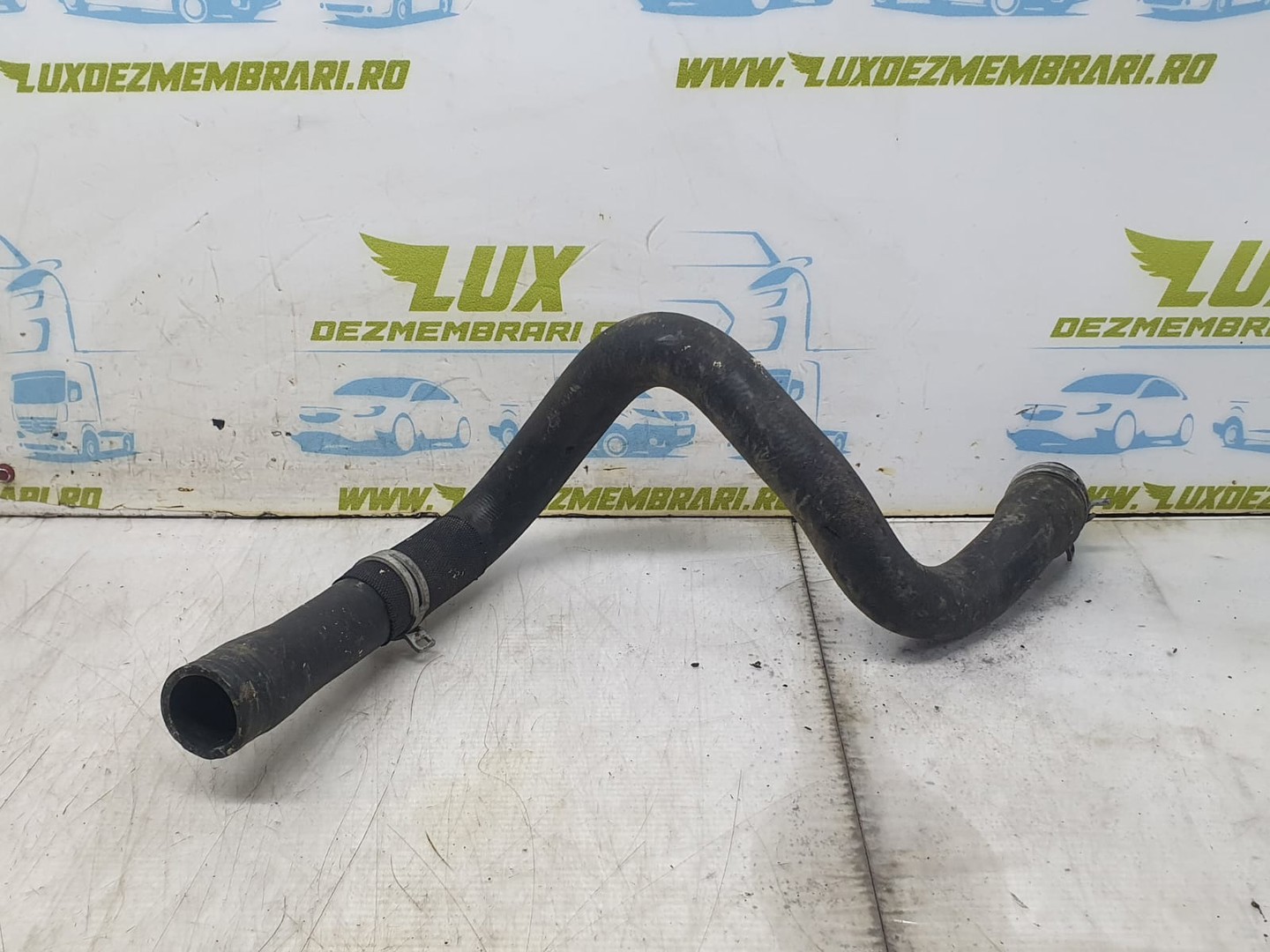 Furtun intercooler Ford Grand C-Max 1 (2010 - 2015)
