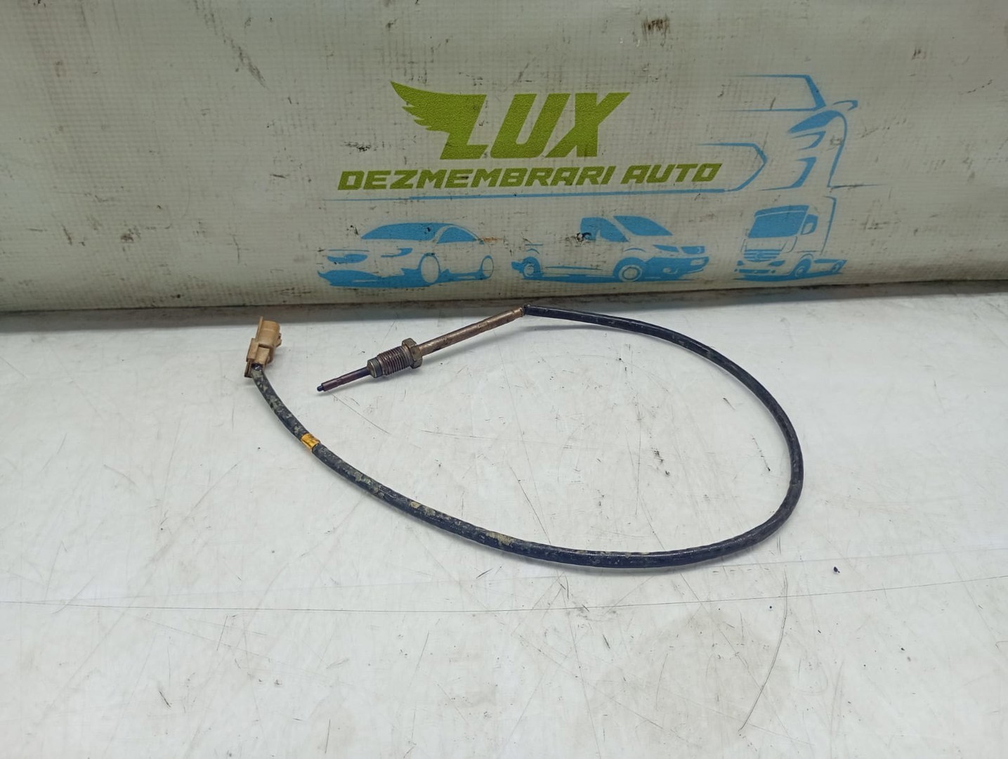 Senzor temperatura combustibil rn105j-ewe Dacia Duster 1 (facelift) (2013 - 2017)
