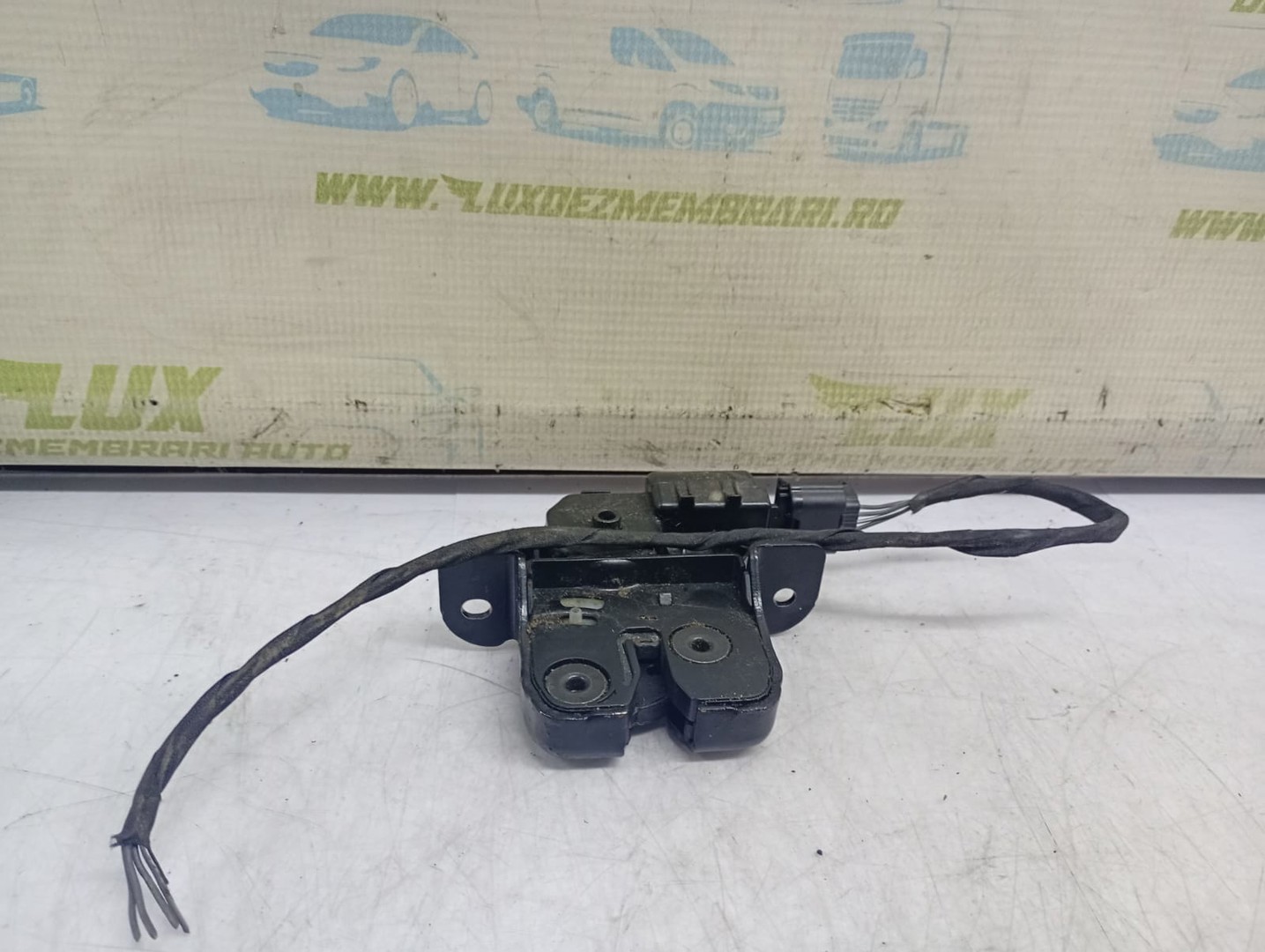 Broasca haion 846300003R Renault Scenic 3 (2009 - 2012)