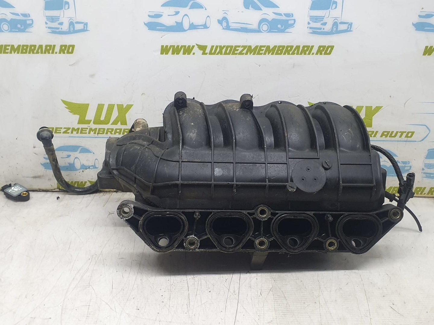 Galerie admisie 036129711 Seat Leon 1 (1M) (1999 - 2005)