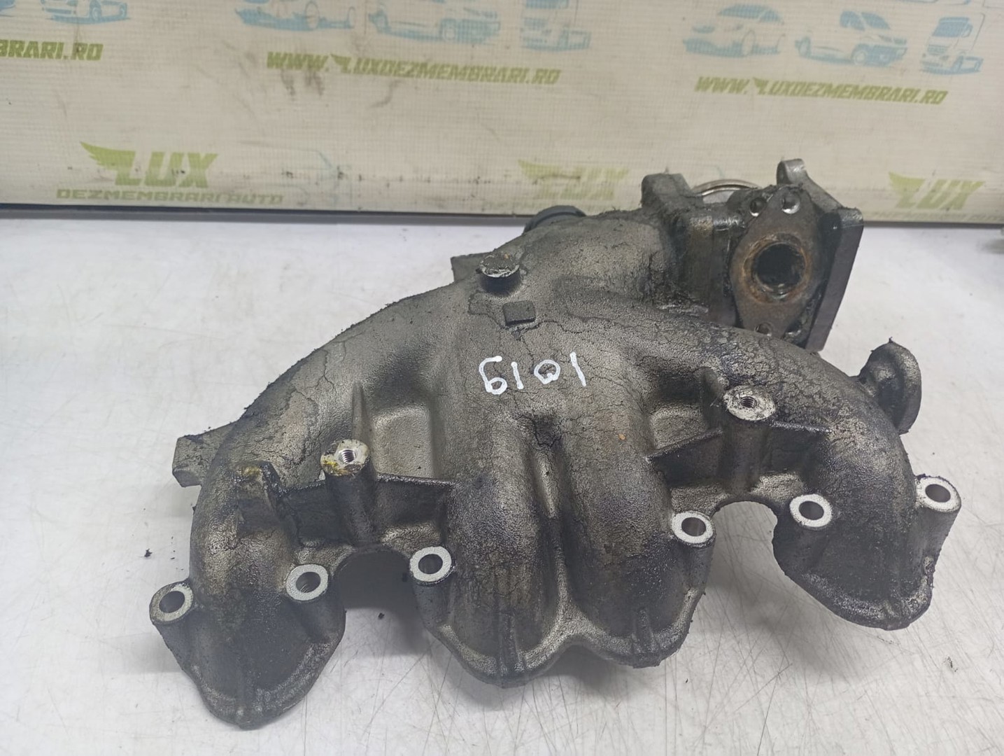 Galerie admisie 03G129713 Volkswagen Golf 5 (2003 - 2009)