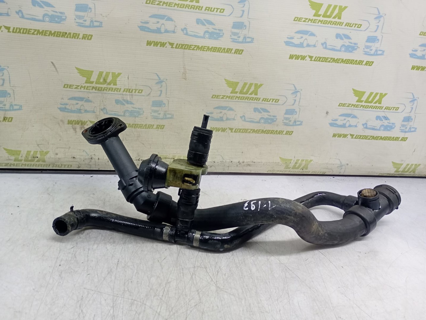 Furtun apa 8D0121049G Volkswagen Passat B5 (1996 - 2000)