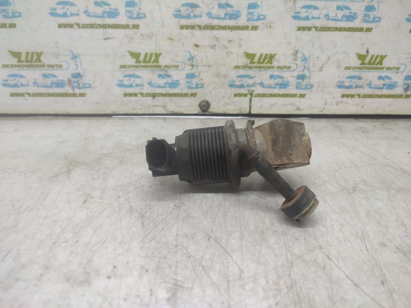 EGR 036131503t Seat Leon 1 (1M) (1999 - 2005)