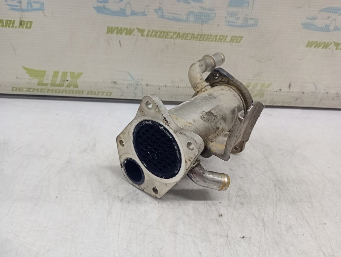 Racitor gaze EGR 8200912059 Renault Clio 3 (facelift) (2009 - 2012)