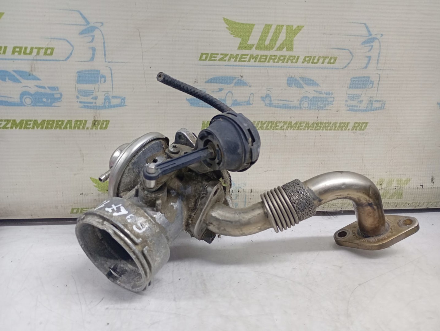 EGR 038131501j Volkswagen Golf 5 (2003 - 2009)