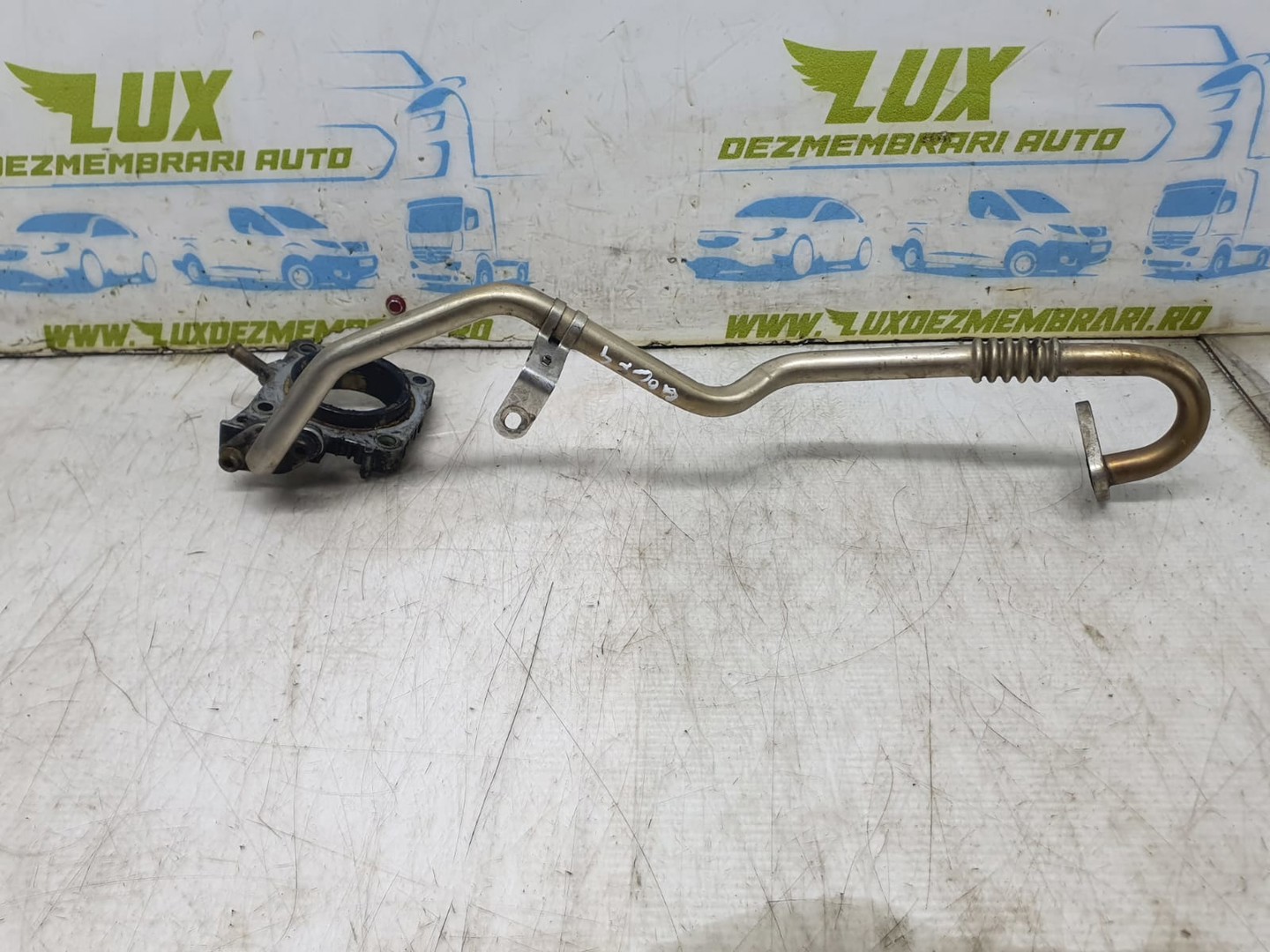 Conducta EGR Volkswagen Golf 4 (1997 - 2006)