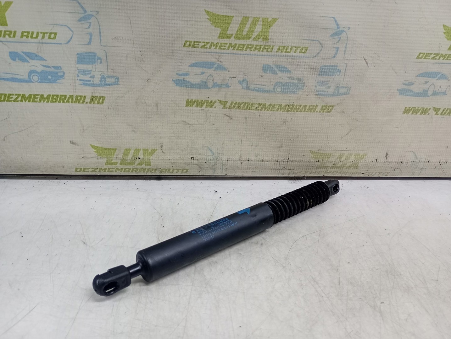 Amortizor haion 1312120425N BMW Seria 5 F11 (2009 - 2013)