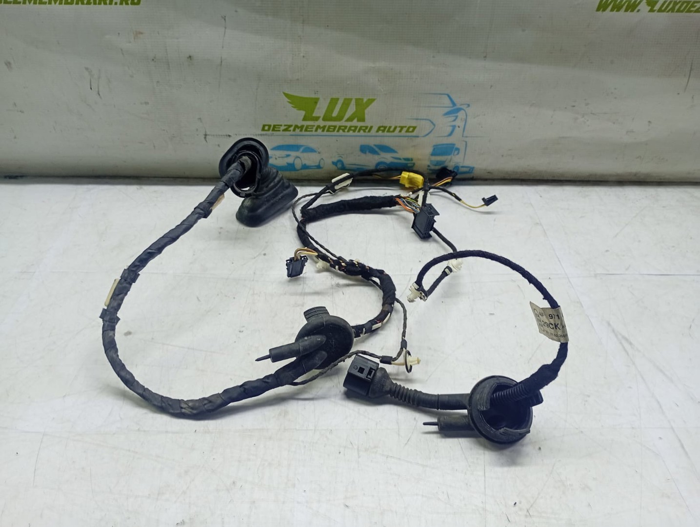 Cablaj electric usa fata dreapta 4f1971029ck Audi A6 4F/C6 (facelift) (2008 - 2011)