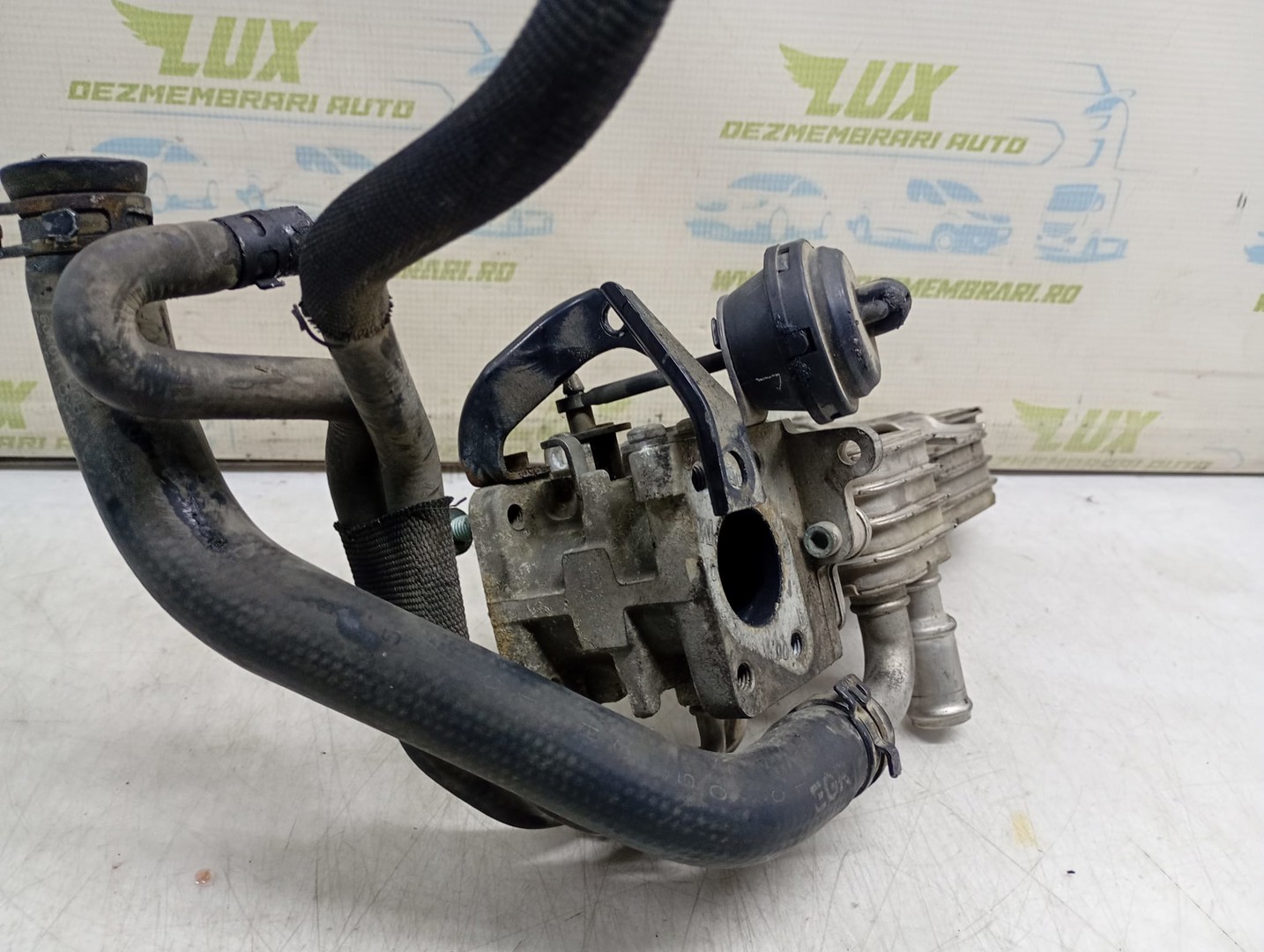 Racitor gaze EGR 038131513 Volkswagen Golf 5 (2003 - 2009)