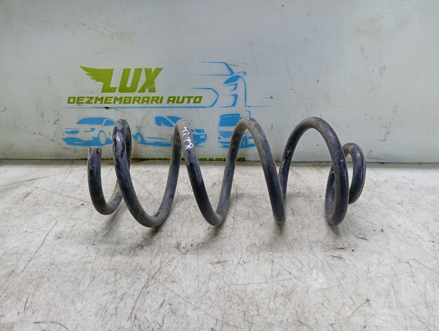 Arc suspensie spate Renault Arkana 1 (2019 - 2020)
