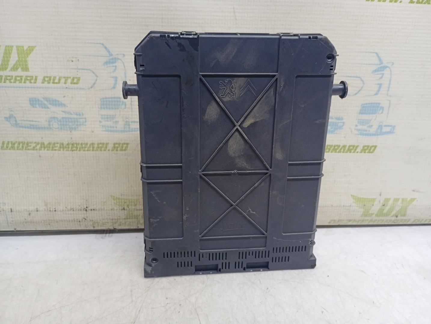 Panou sigurante 9666952080 Citroen C3 Picasso 1 (2008 - 2013)