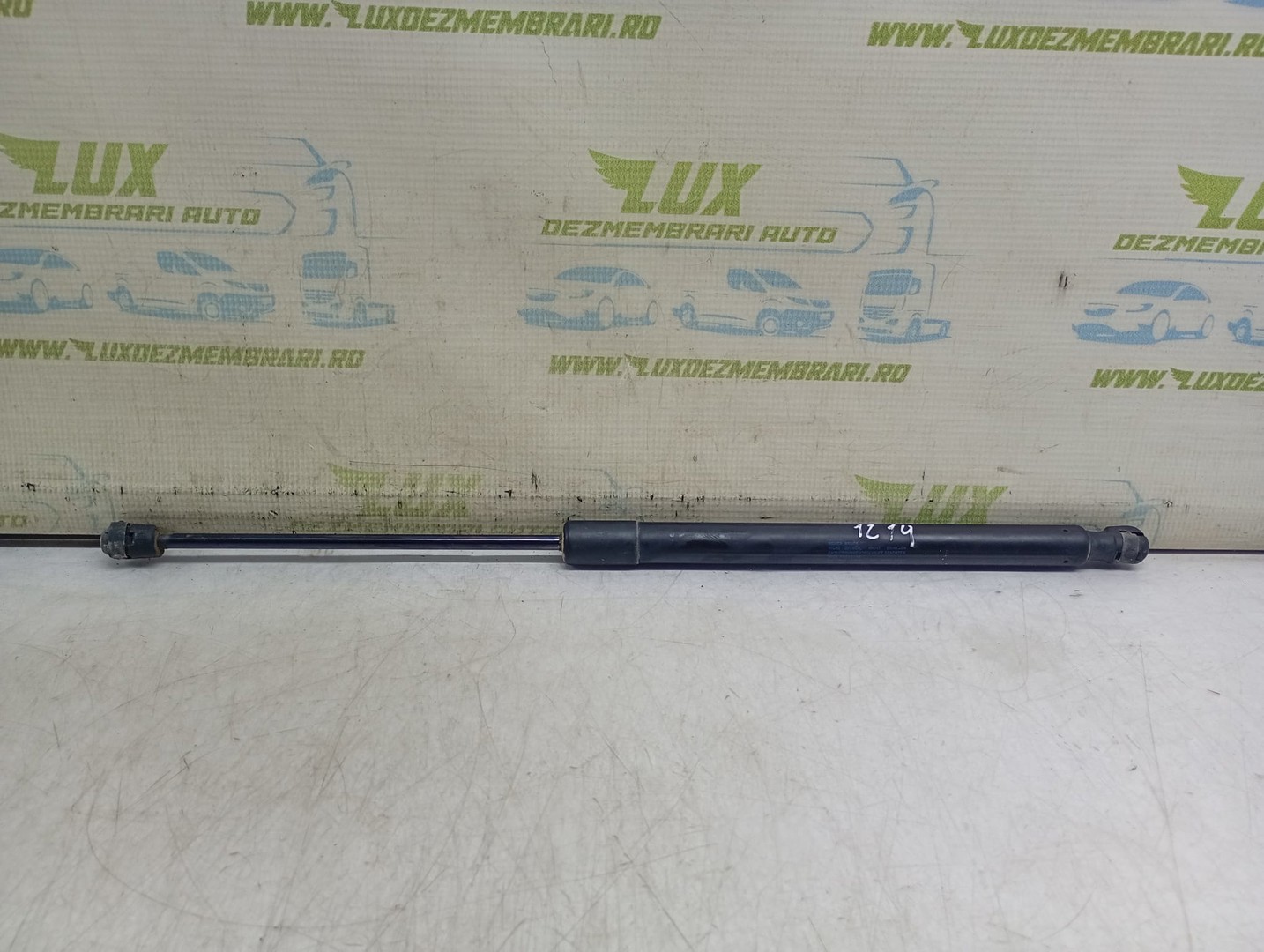 Amortizor haion 5N082755004S Volkswagen Tiguan 1 (5N) (2007 - 2011)