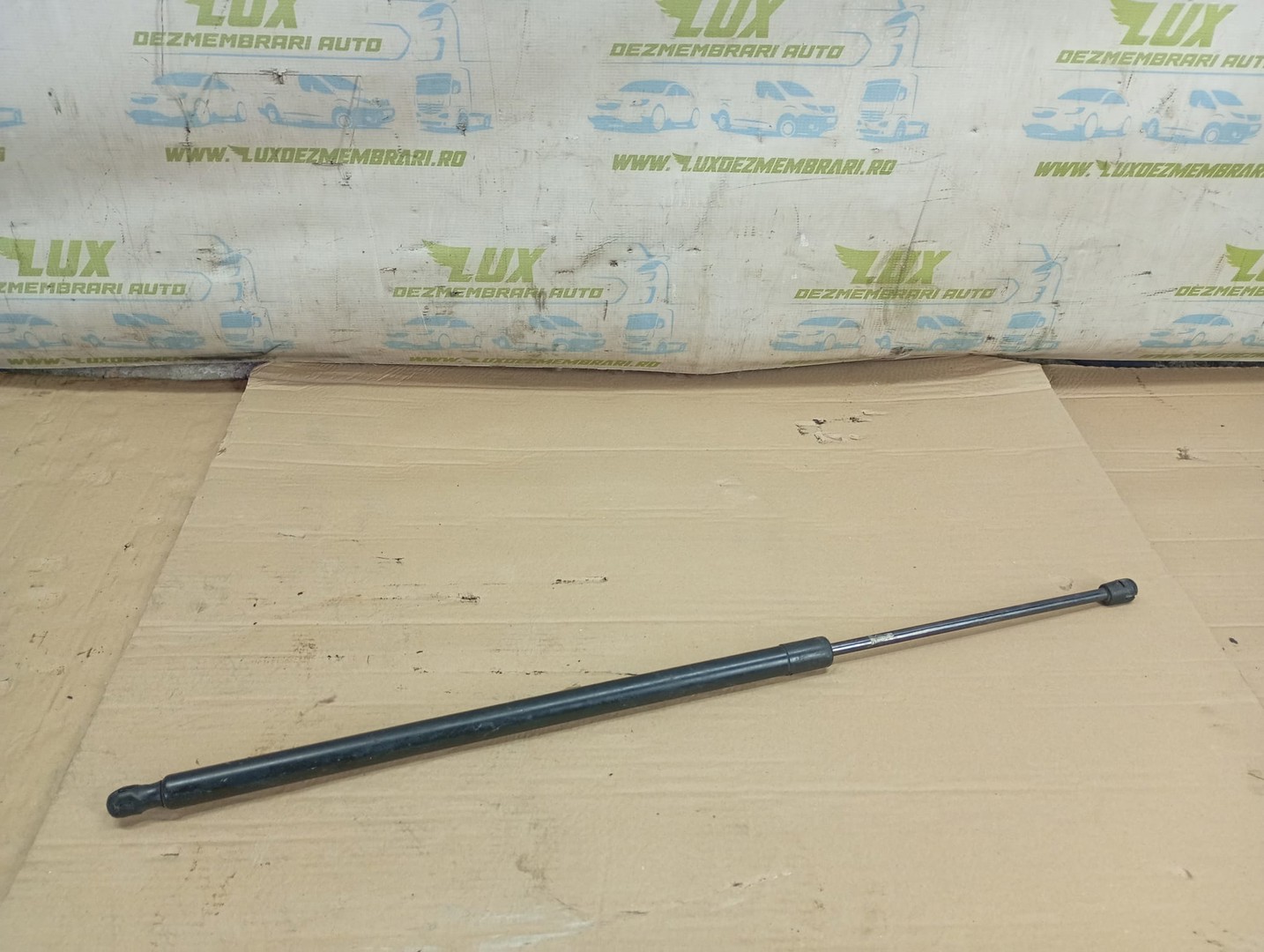 Amortizor haion CV44-S406A11-AB Ford Kuga 2 (2013 - 2020)