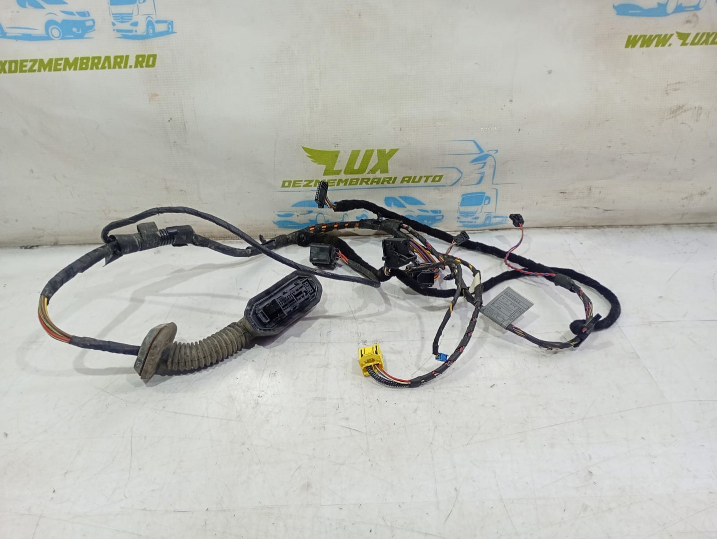 Cablaj electric usa fata stanga 6925918 BMW Seria 5 E60/E61 (2003 - 2007)