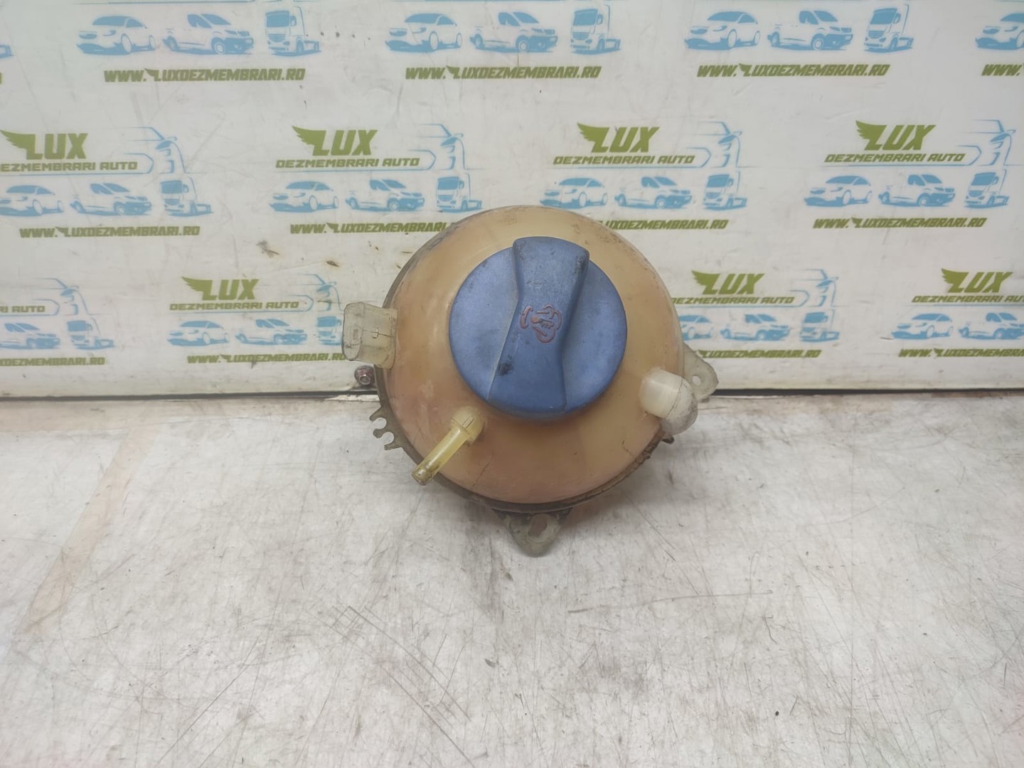 Vas expansiune 1J0121403 Seat Leon 1 (1M) (1999 - 2005)