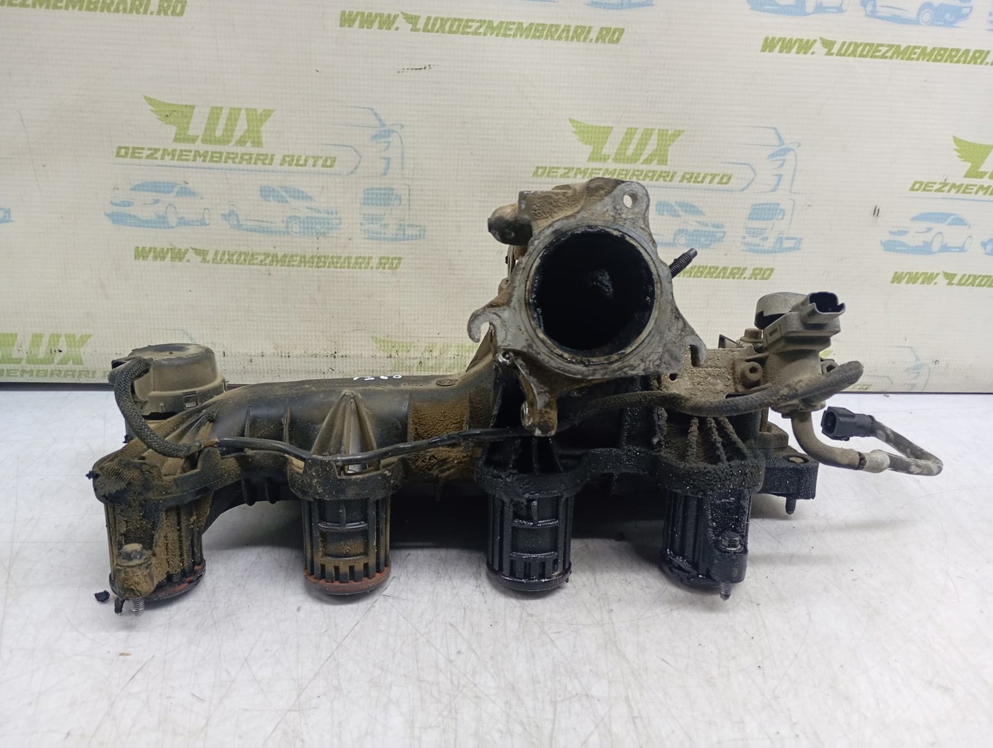Galerie admisie 9659449480 Land Rover Freelander 2 (2006 - 2010)