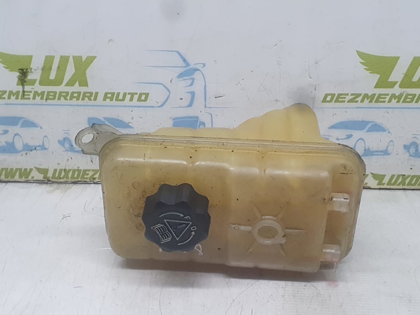 Vas expansiune 913A1 Citroen C5 1 (facelift) (2004 - 2008)