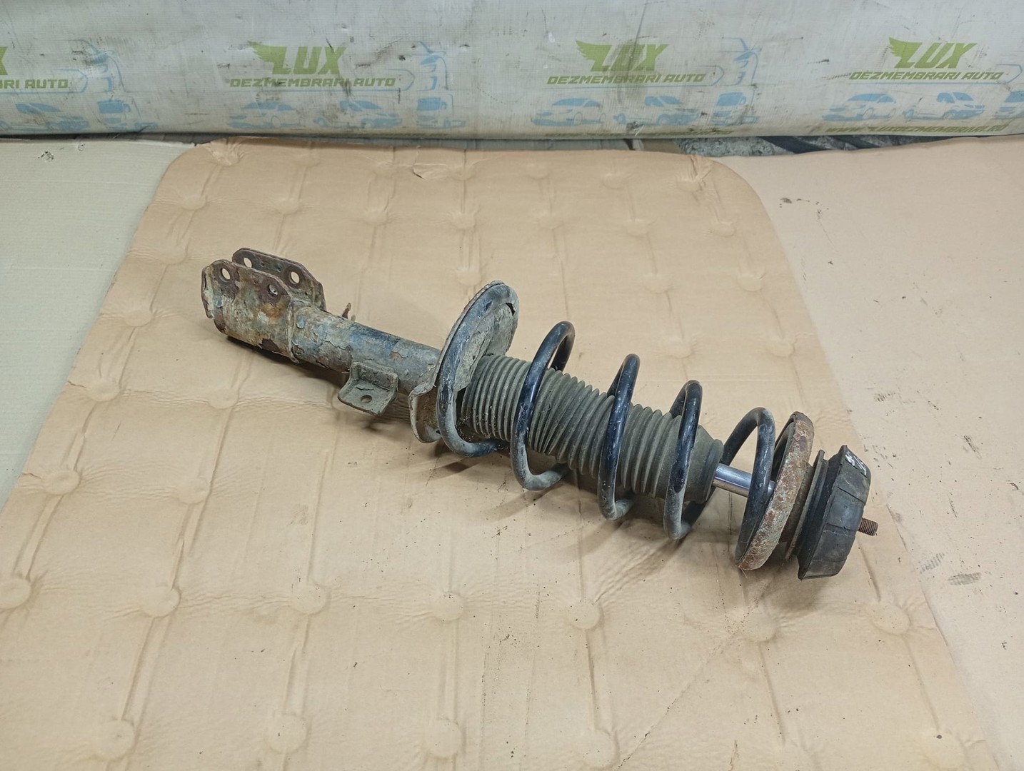 Amortizor fata Fiat Sedici 1 (2005 - 2009)