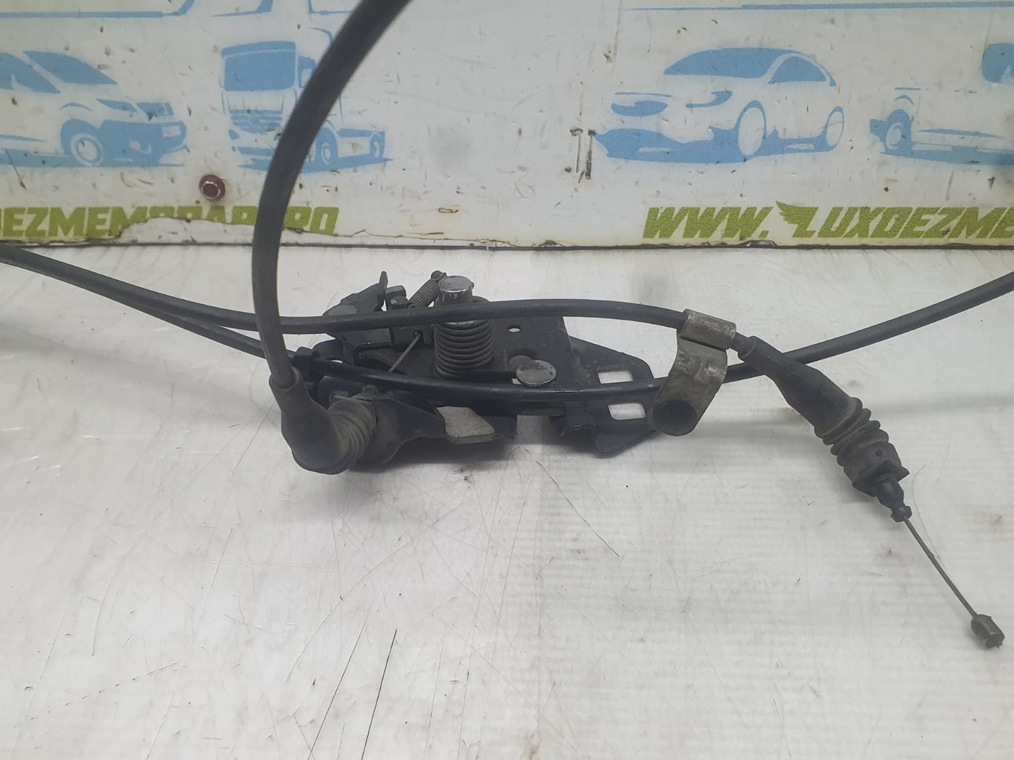 Broasca capota 3031721 Ford Mondeo MK5 (2014 - 2020)
