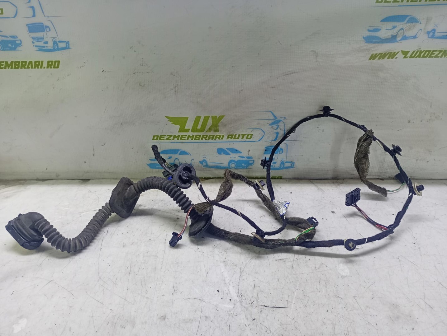 Cablaj electric usa spate stanga 241261967r Renault Laguna 3 (2007 - 2011)