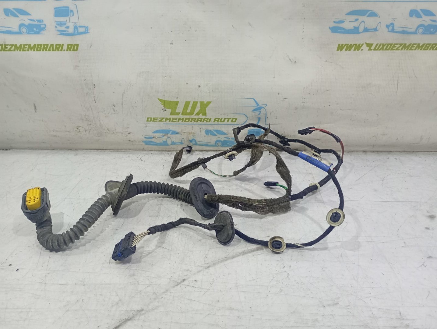 Cablaj electric usa fata stanga 241261967r Renault Laguna 3 (2007 - 2011)