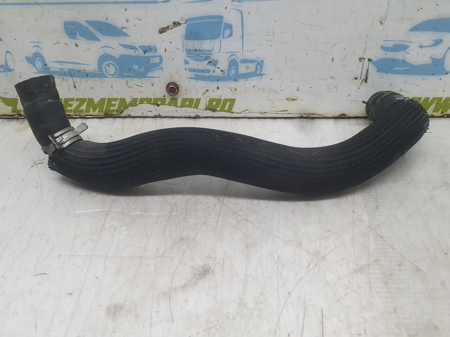 Furtun apa Renault Laguna 3 (2007 - 2011)