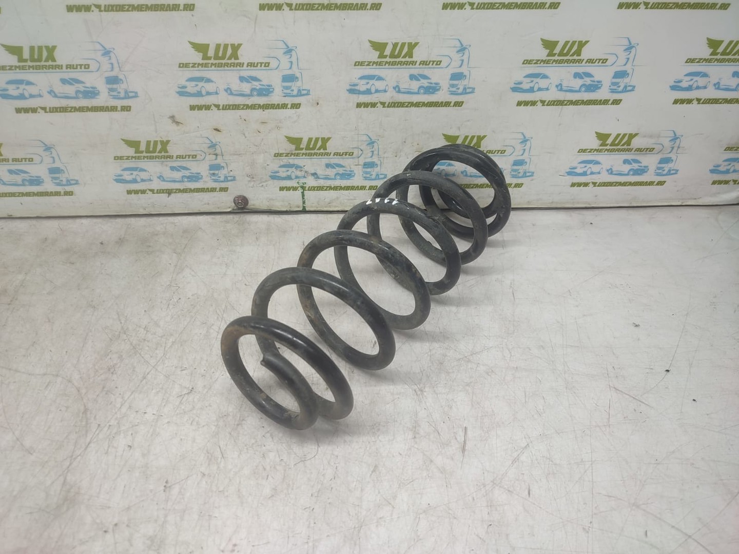 Arc suspensie spate Volkswagen Golf 5 (2003 - 2009)
