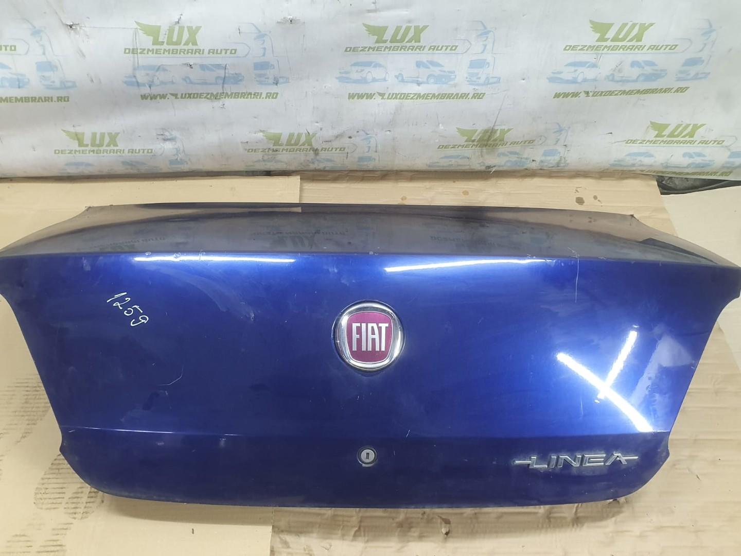 Portbagaj Fiat Linea 1 (2006 - 2012)