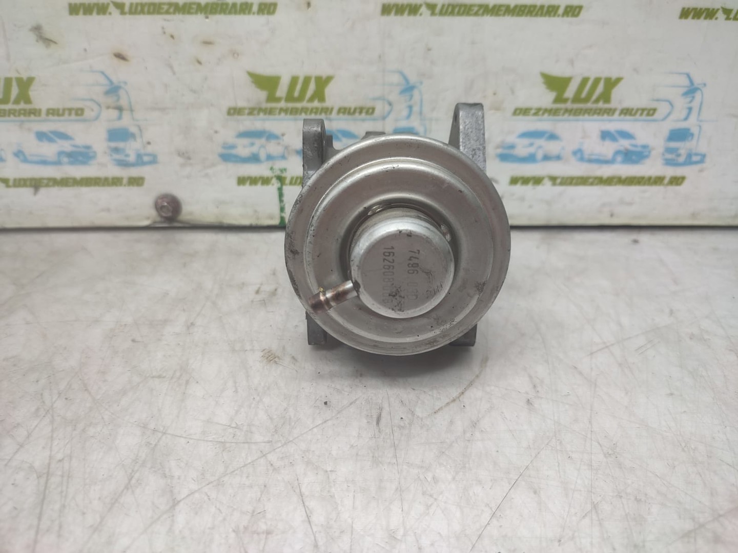 EGR 038129637D Seat Altea 1 (2004 - 2009)