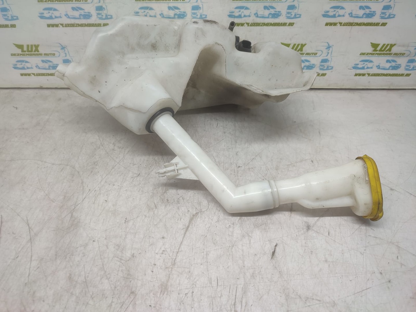 Vas lichid parbriz 289100001N Renault Laguna 3 (2007 - 2011)