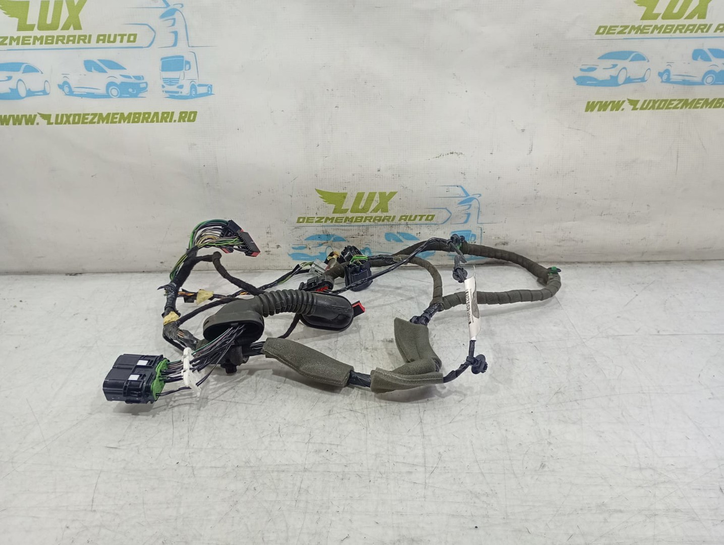 Cablaj electric usa fata dreapta f1et-14a584-agg Ford Focus 3 (2011 - 2015)
