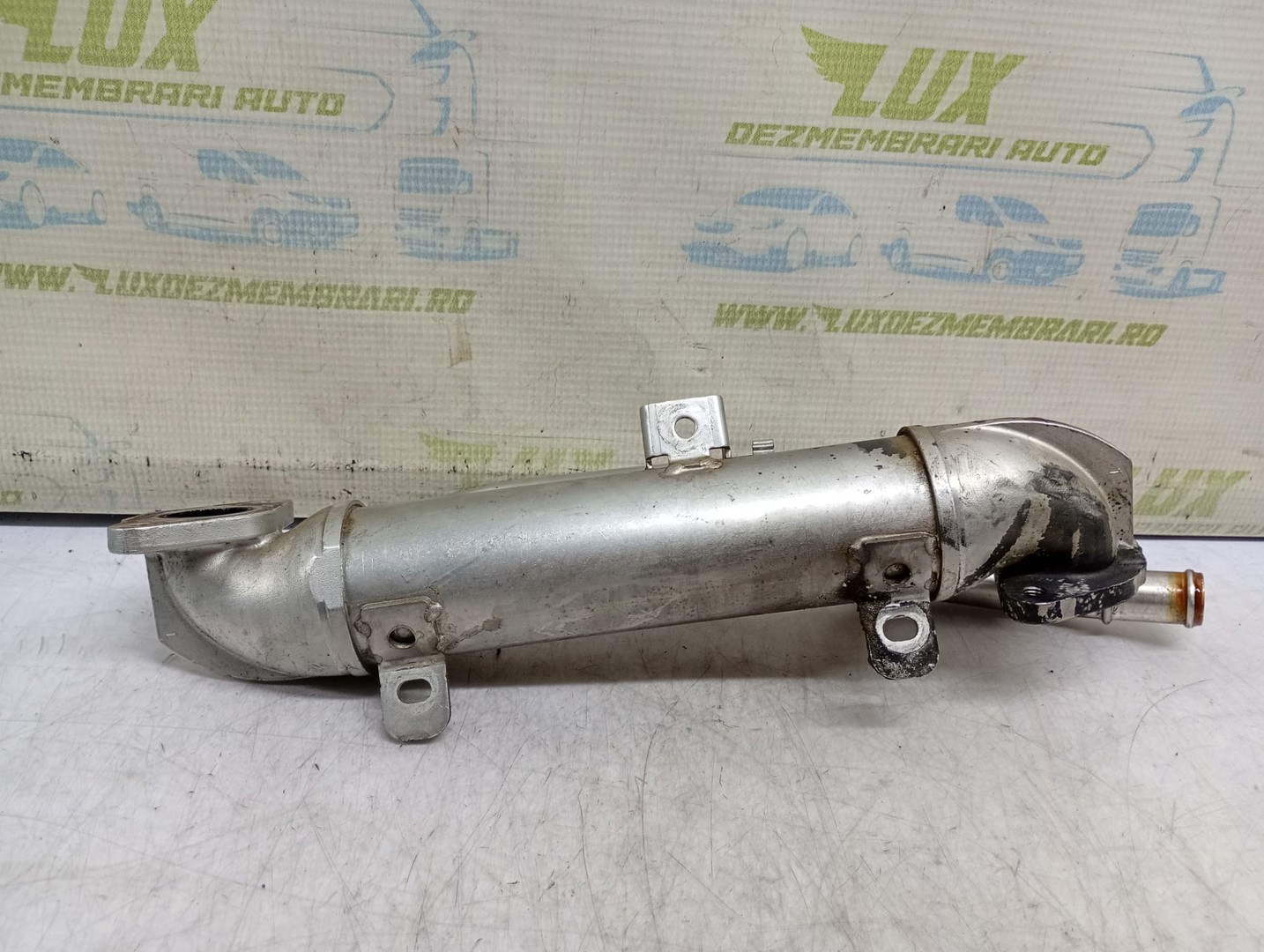 Racitor gaze EGR 038131513S Audi A4 B7 (2004 - 2008)