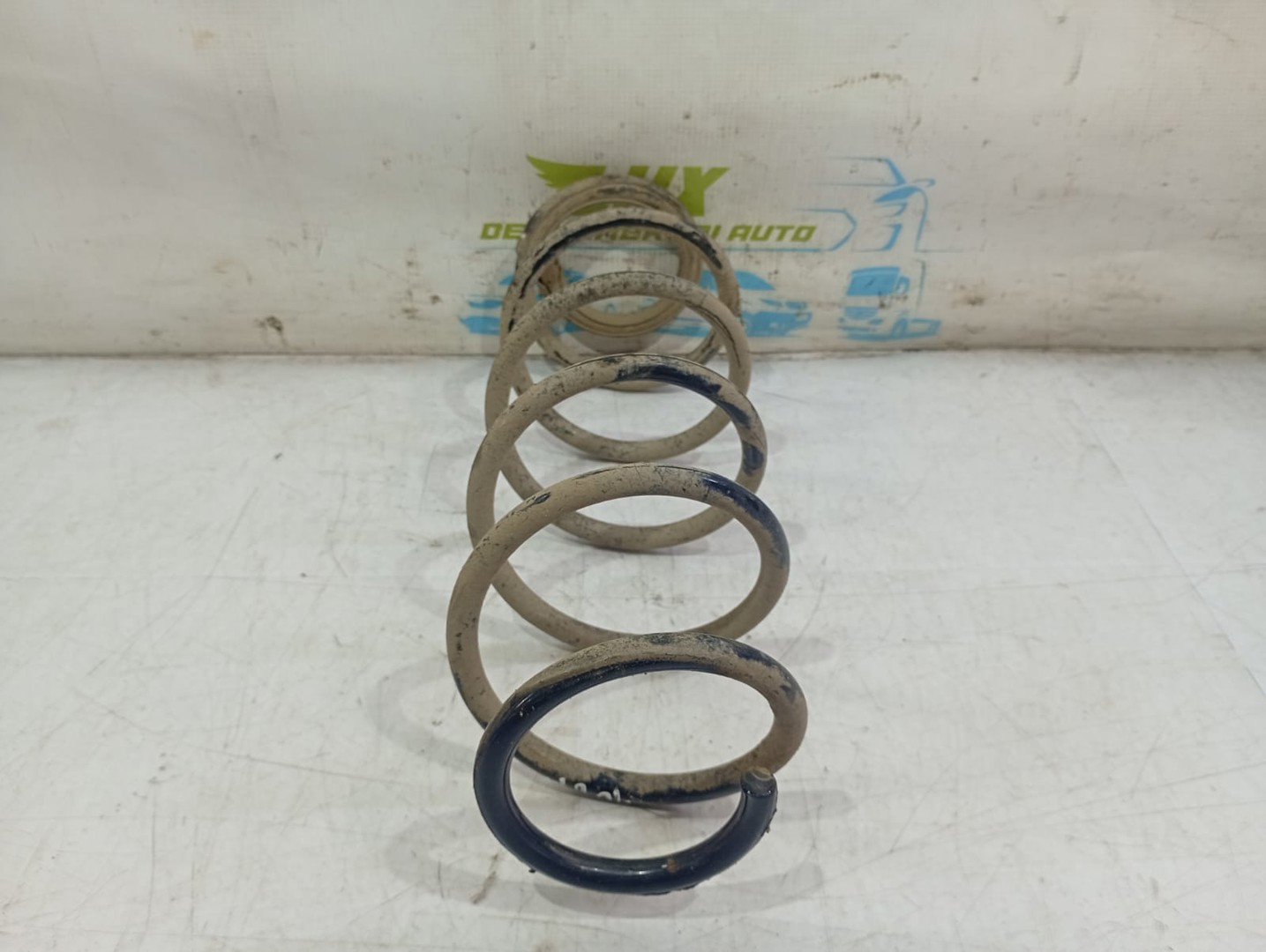 Arc suspensie spate Renault Laguna 3 (facelift) (2011 - 2015)