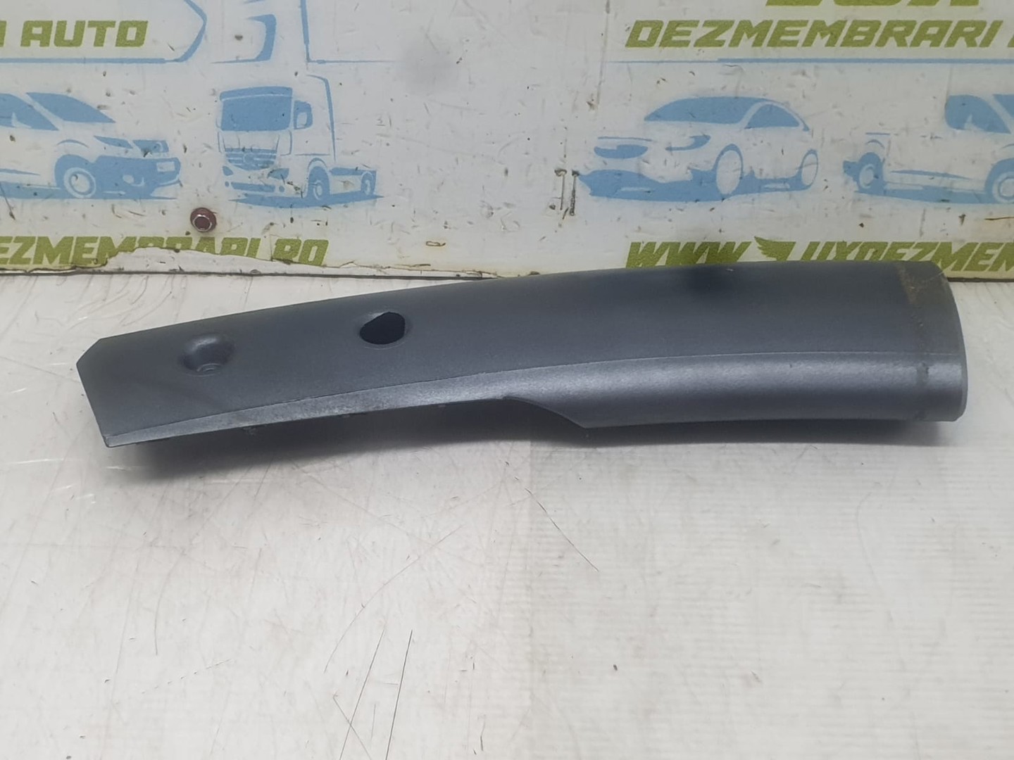 Ornament interior 7040569004 Mini One R50 (2001 - 2004)
