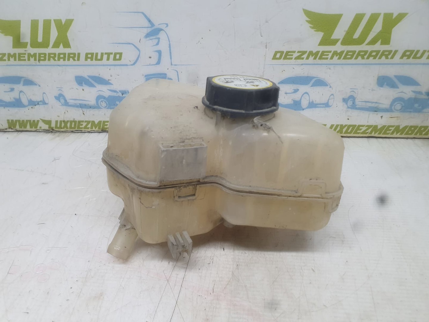 Vas expansiune N05001A200 Ford Fiesta 6 (facelift) (2013 - 2020)