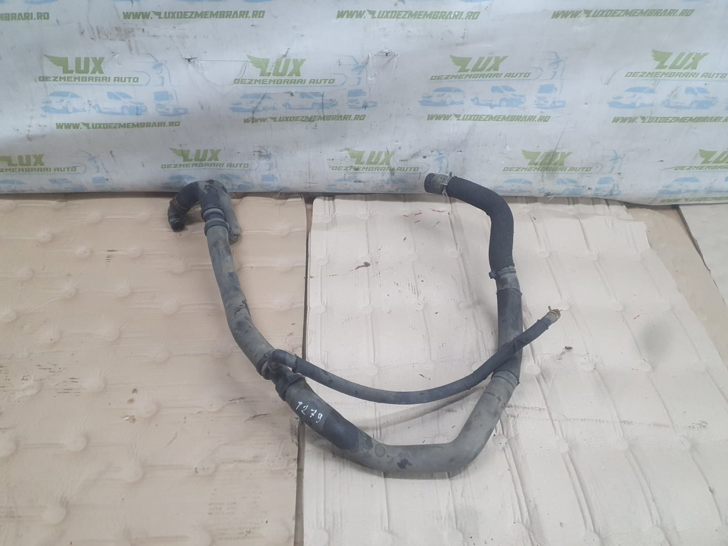 Furtun apa Ford Mondeo MK5 (2014 - 2020)
