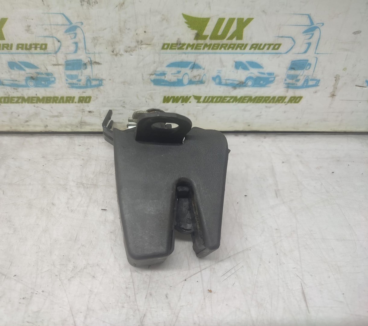 Broasca dreapta spate Volkswagen Transporter T5 (2003 - 2009)