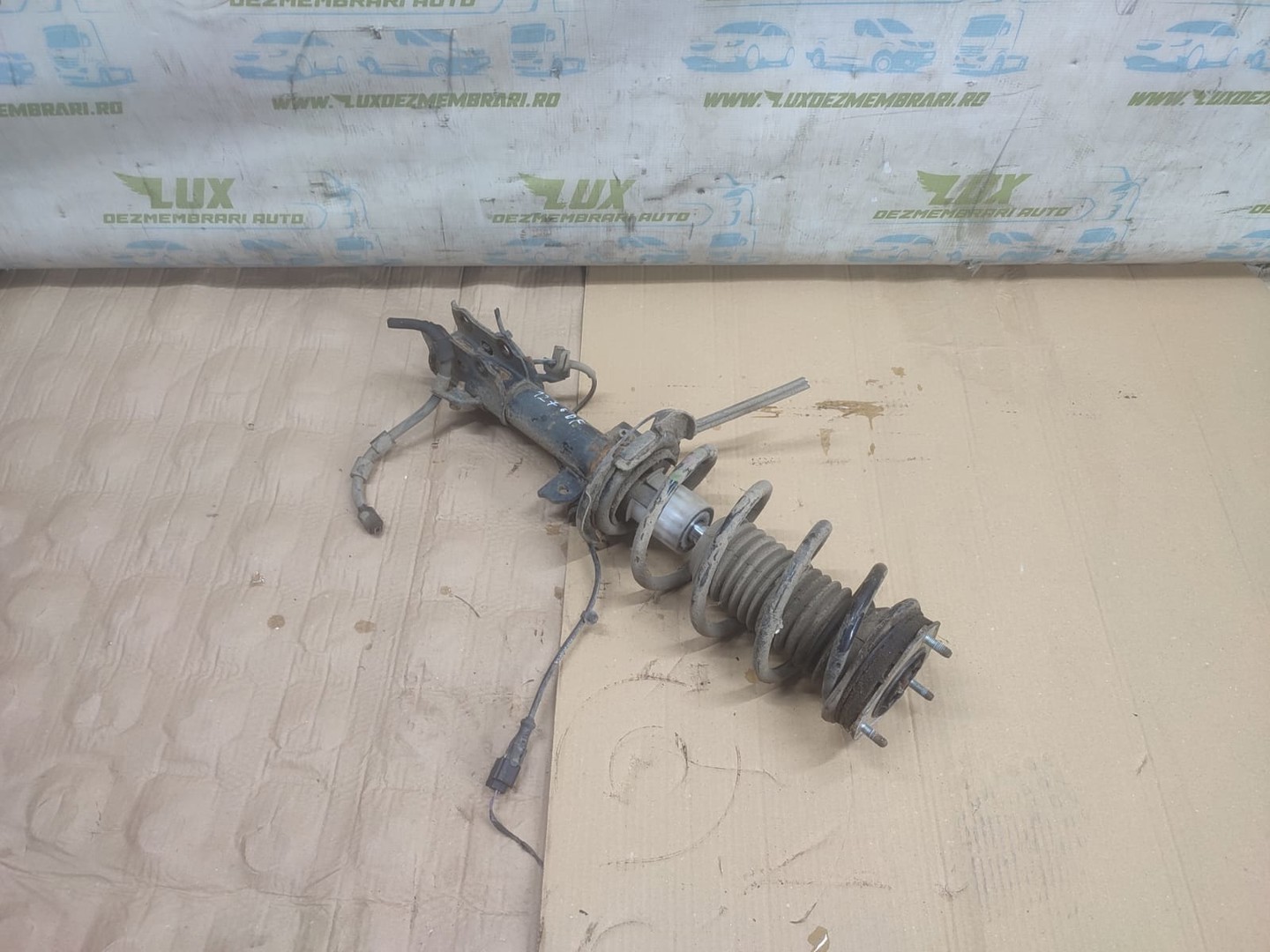 Amortizor cu arc dreapta fata Mini One R50 (2001 - 2004)