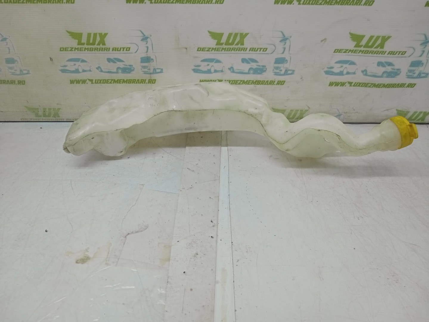 Vas lichid parbriz 289105506r Renault Megane 4 (2016 - 2020)