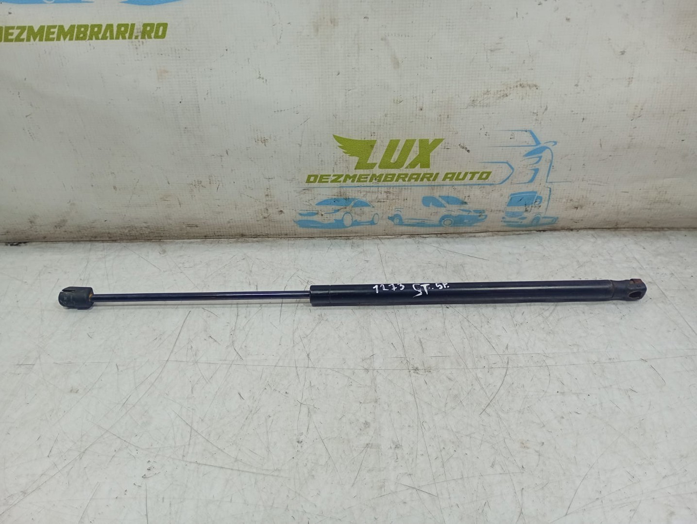 Amortizor haion BMW Seria 3 E90 (2004 - 2010)