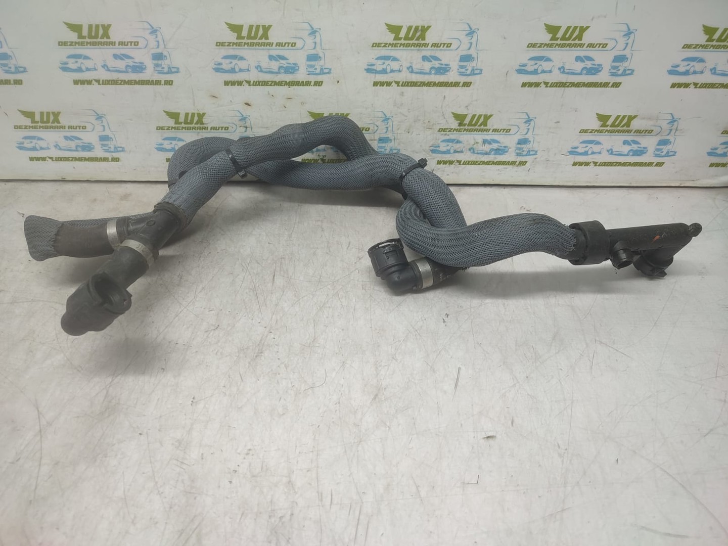 Furtun apa 215013845R Renault Megane 4 (2016 - 2020)