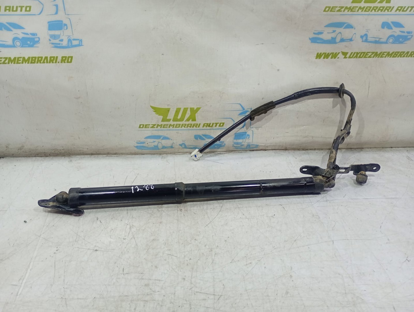 Amortizor haion Toyota RAV4 4 (XA40) (2012 - 2015)