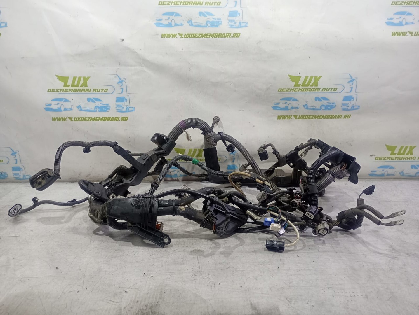 Cablaj electric motor Toyota RAV4 4 (XA40) (2012 - 2015)