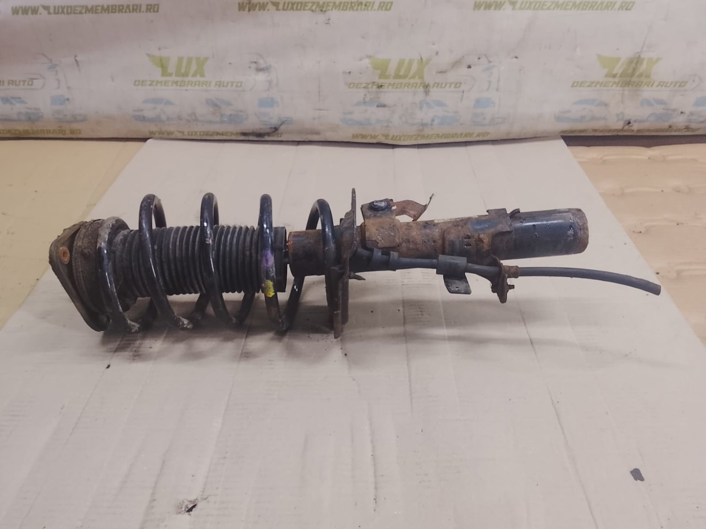 Amortizor cu arc dreapta fata Ford Focus 3 (2011 - 2015)