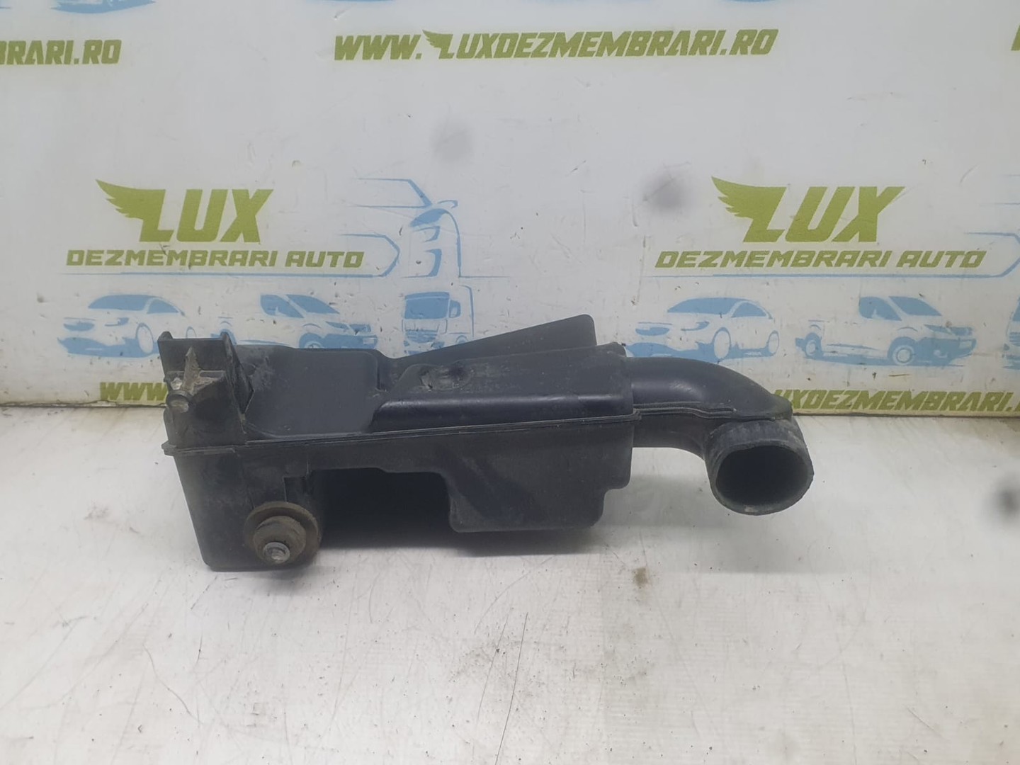 Rezonator aer 8200233761 Renault Megane 2 (facelift) (2006 - 2012)