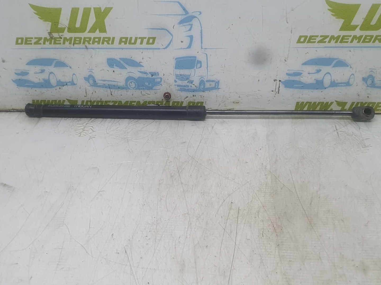 Amortizor haion 871017205 ( Mini One R50 (2001 - 2004)