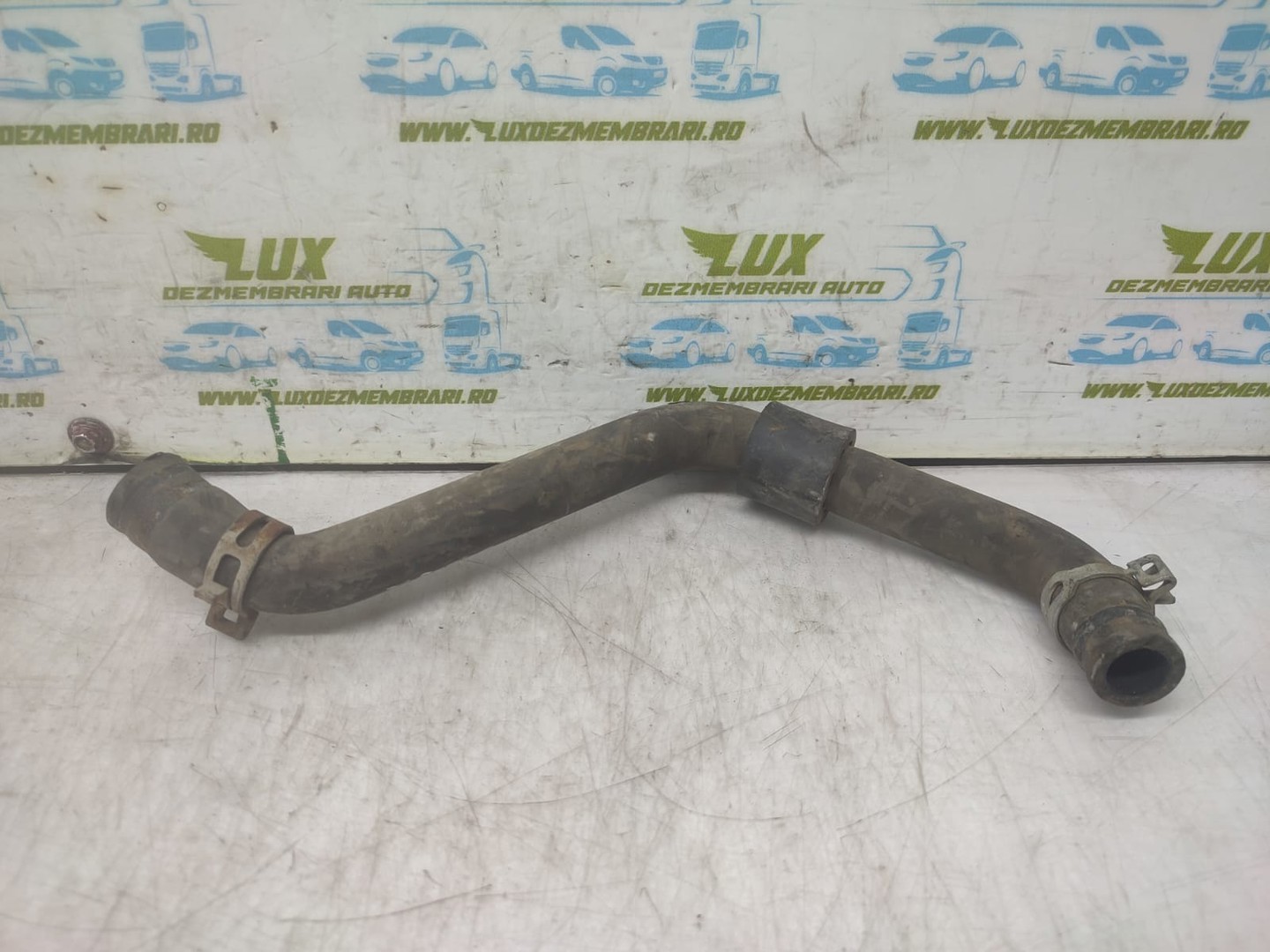 Furtun apa Renault Master 3 (2010 - 2015)